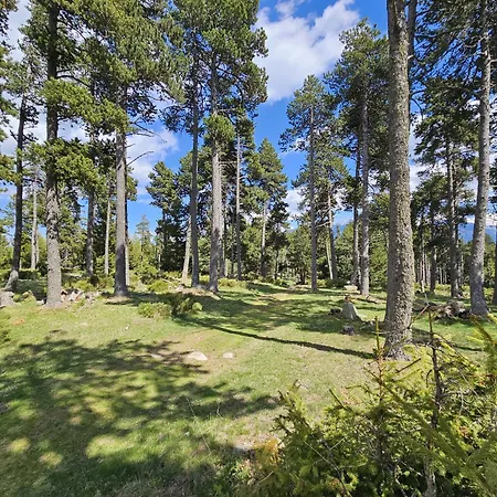Les Secrets-font Romeu *